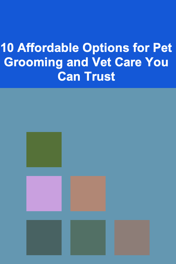 10 Affordable Options for Pet Grooming and Vet Care You Can Trust