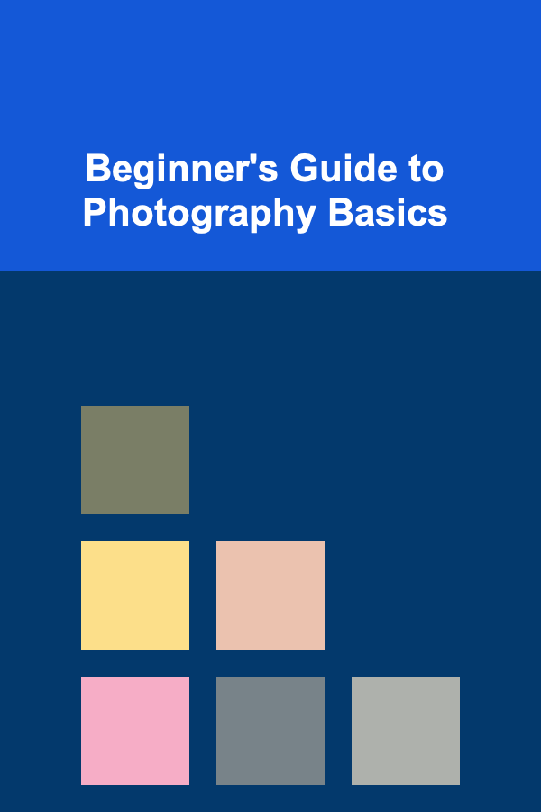 Beginner's Guide to Photography Basics