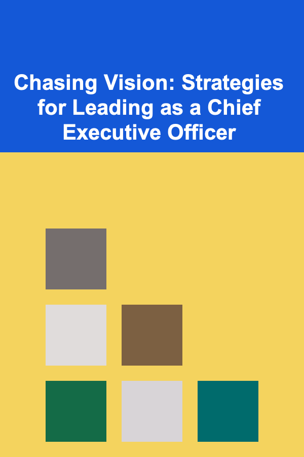 Chasing Vision: Strategies for Leading as a Chief Executive Officer