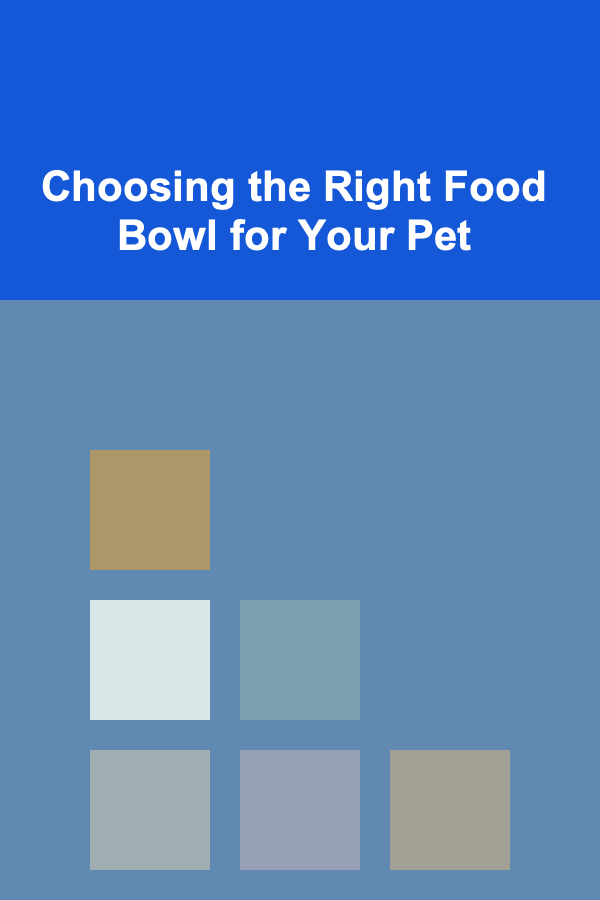 Choosing the Right Food Bowl for Your Pet