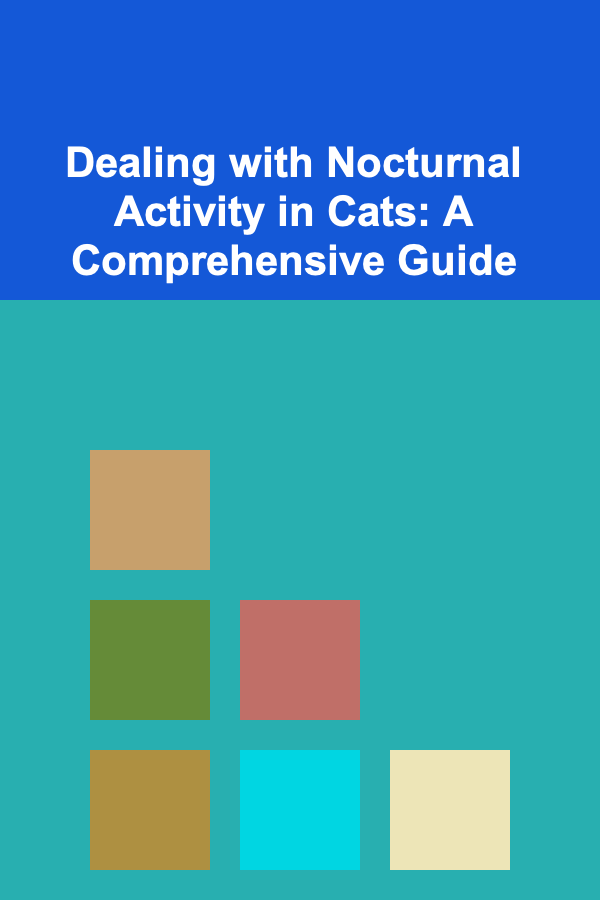 Dealing with Nocturnal Activity in Cats: A Comprehensive Guide