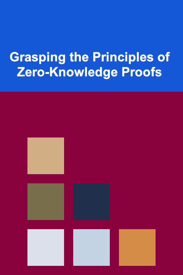 Grasping the Principles of Zero-Knowledge Proofs