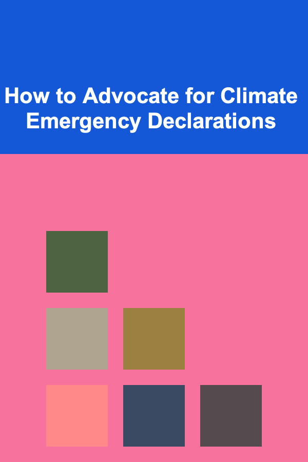 How to Advocate for Climate Emergency Declarations