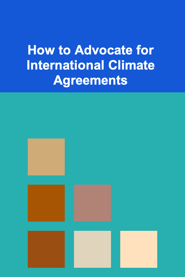 How to Advocate for International Climate Agreements