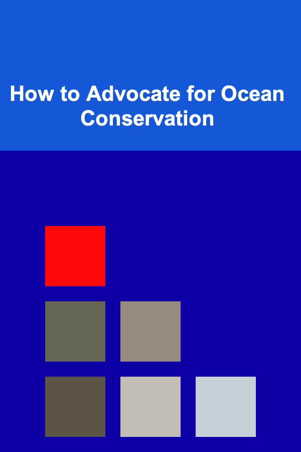 How to Advocate for Ocean Conservation