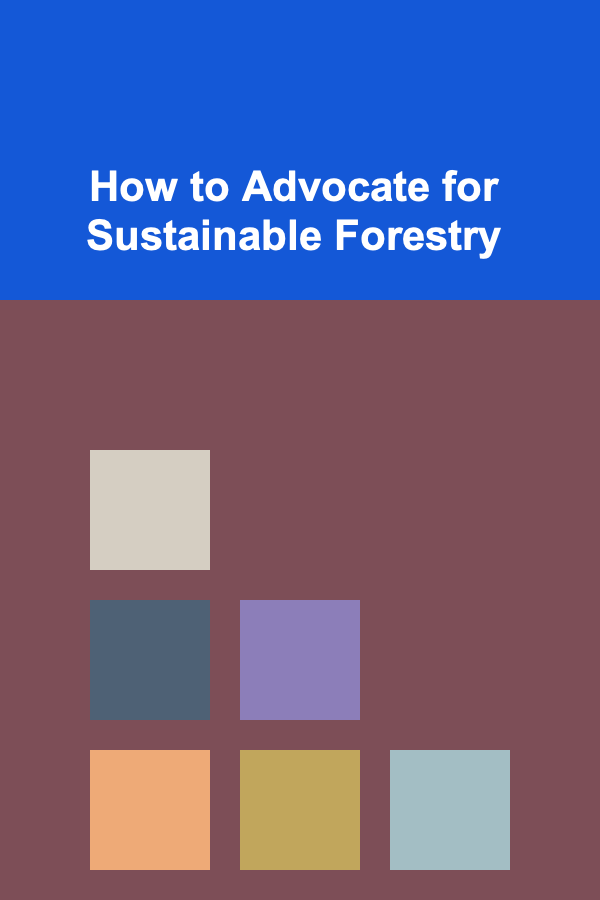 How to Advocate for Sustainable Forestry