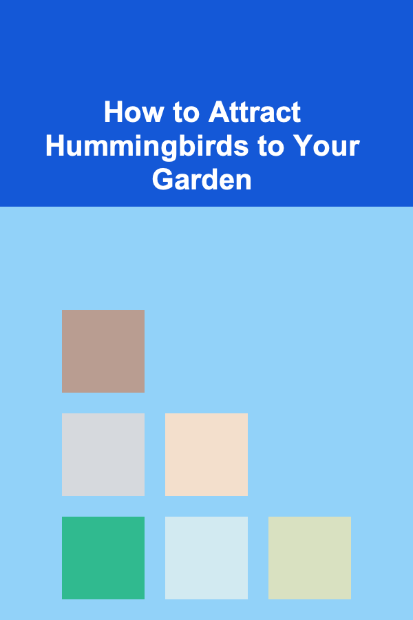 How to Attract Hummingbirds to Your Garden