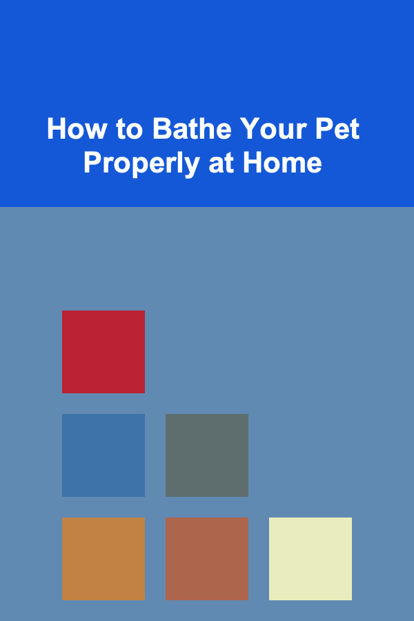 How to Bathe Your Pet Properly at Home