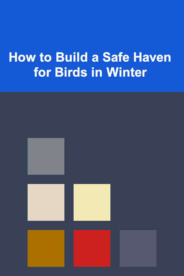 How to Build a Safe Haven for Birds in Winter