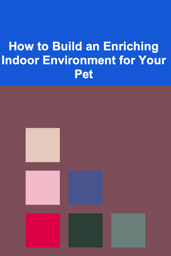How to Build an Enriching Indoor Environment for Your Pet
