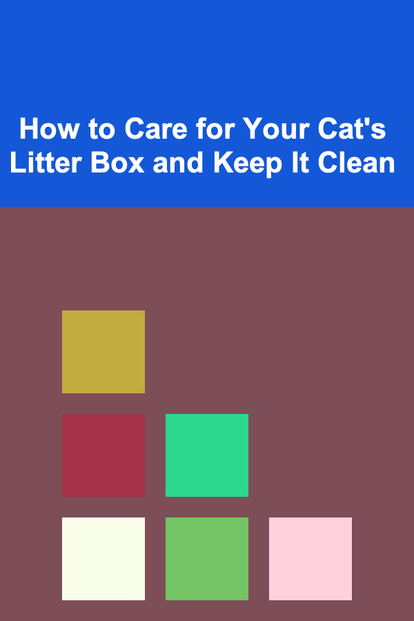 How to Care for Your Cat's Litter Box and Keep It Clean