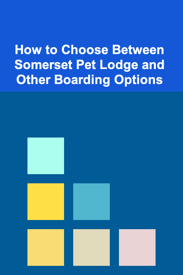 How to Choose Between Somerset Pet Lodge and Other Boarding Options