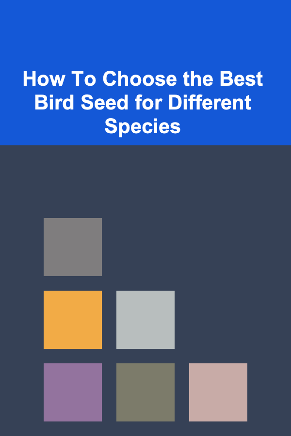 How To Choose the Best Bird Seed for Different Species