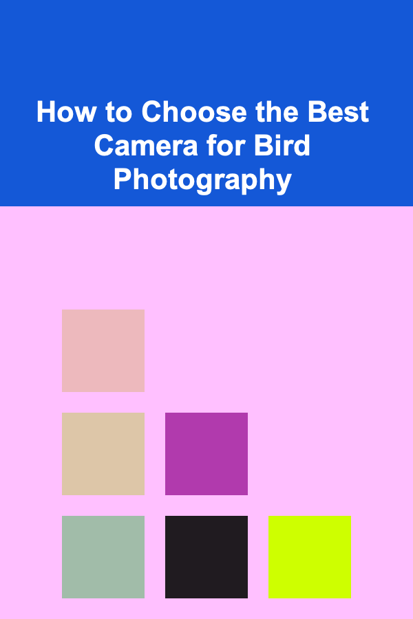 How to Choose the Best Camera for Bird Photography