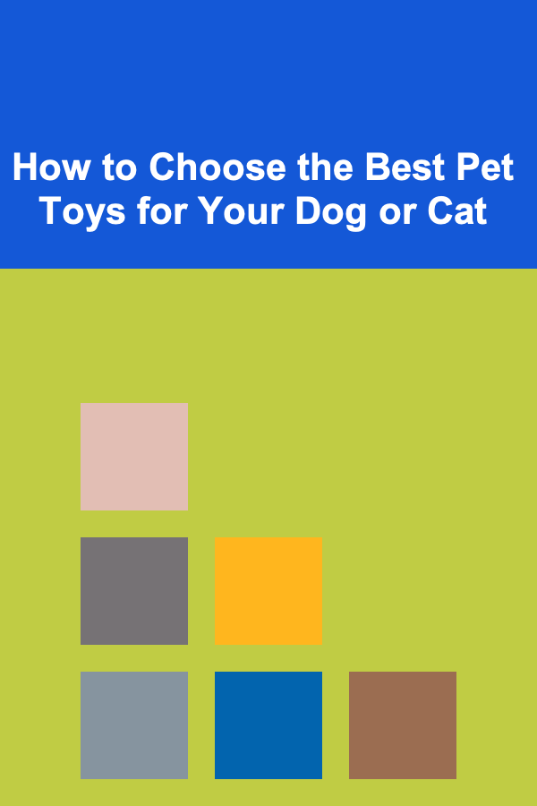 How to Choose the Best Pet Toys for Your Dog or Cat