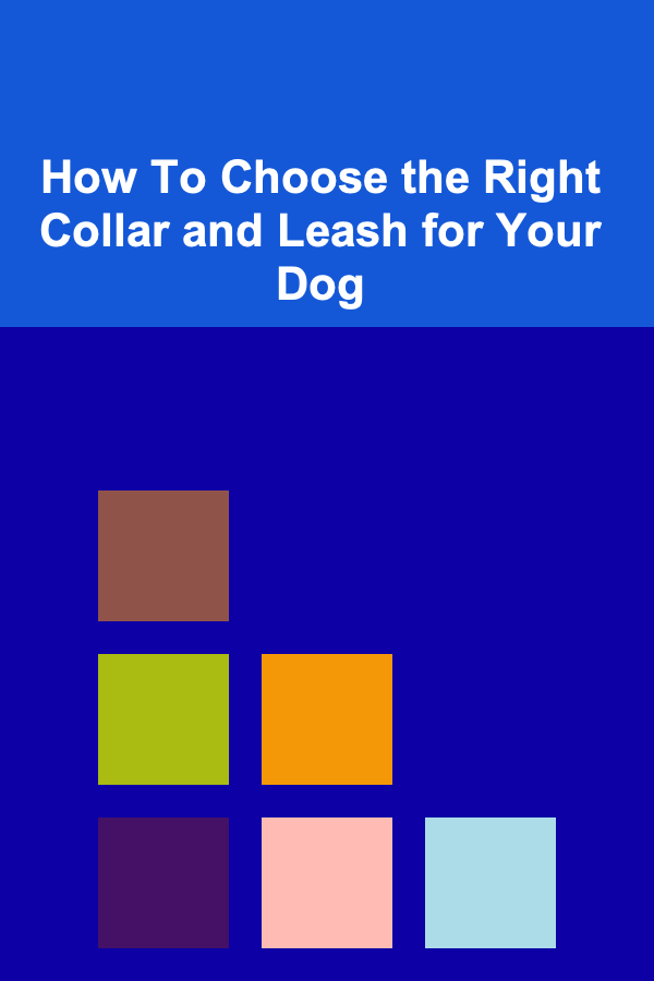 How To Choose the Right Collar and Leash for Your Dog
