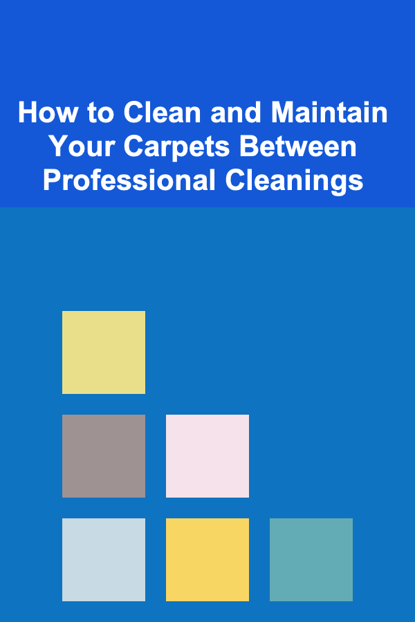How to Clean and Maintain Your Carpets Between Professional Cleanings