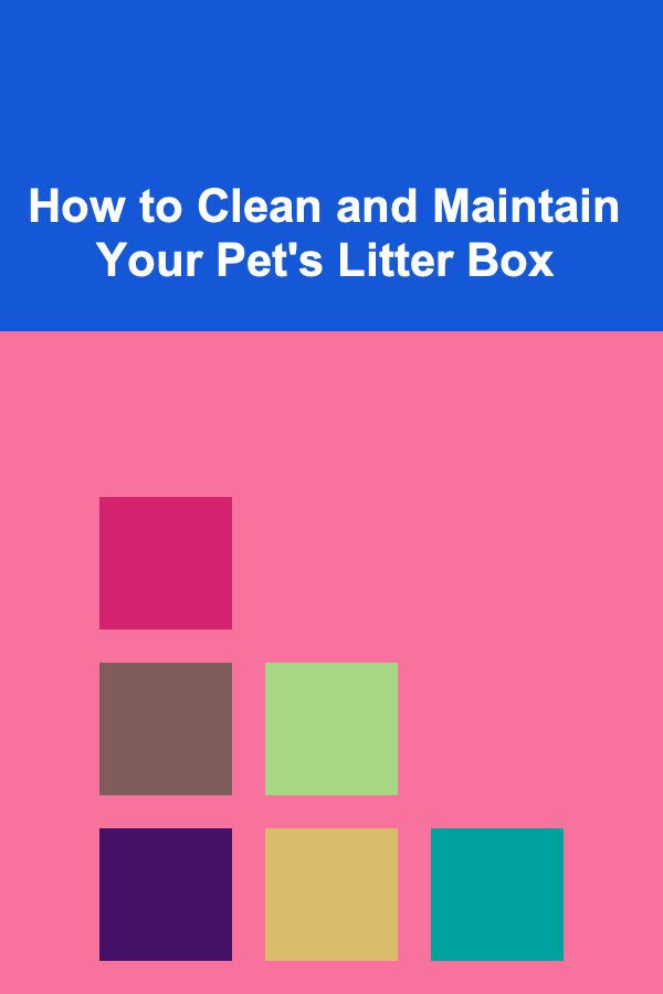 How to Clean and Maintain Your Pet's Litter Box