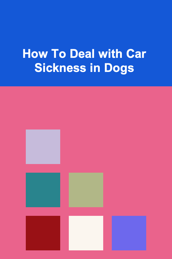 How To Deal with Car Sickness in Dogs