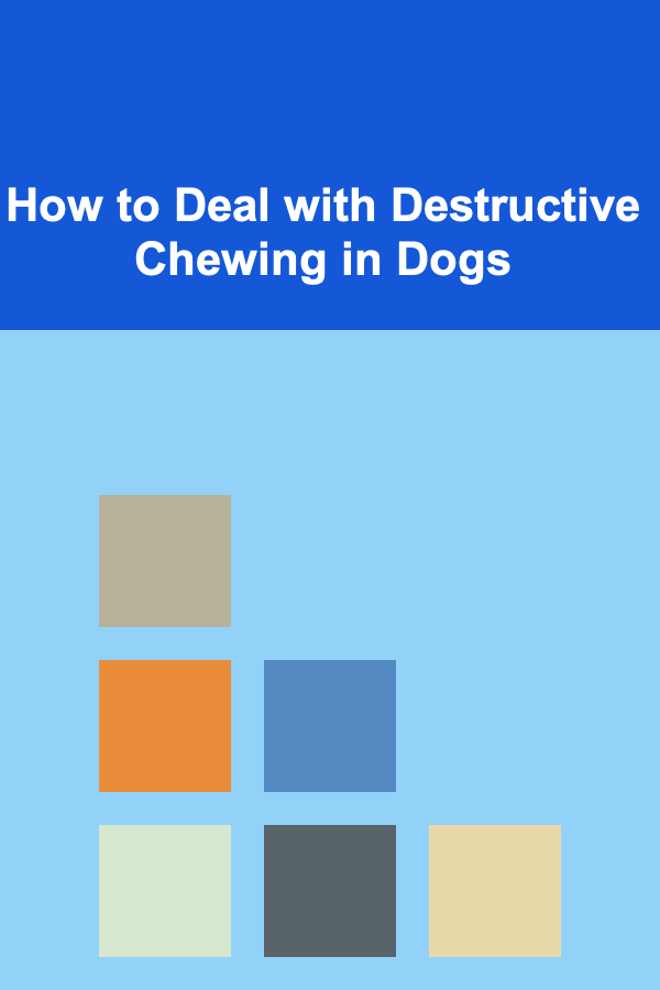 How to Deal with Destructive Chewing in Dogs