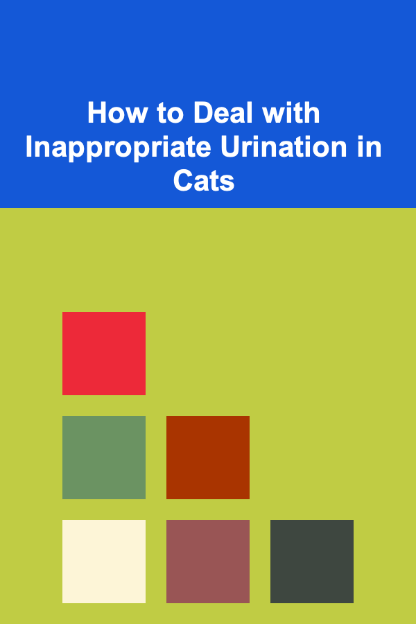 How to Deal with Inappropriate Urination in Cats