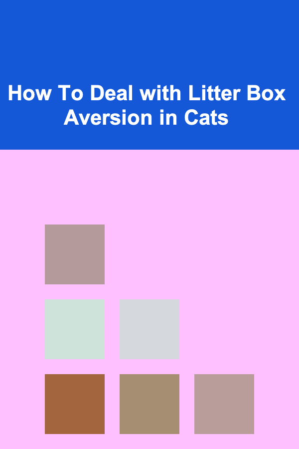 How To Deal with Litter Box Aversion in Cats