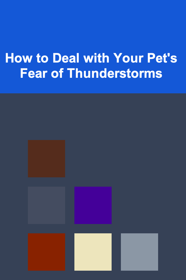 How to Deal with Your Pet's Fear of Thunderstorms