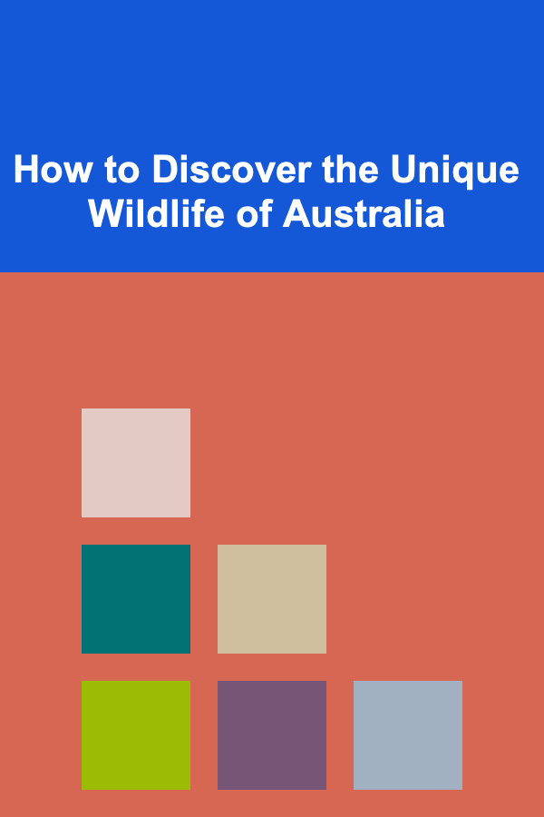 How to Discover the Unique Wildlife of Australia