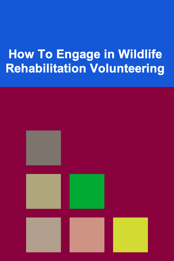 How To Engage in Wildlife Rehabilitation Volunteering