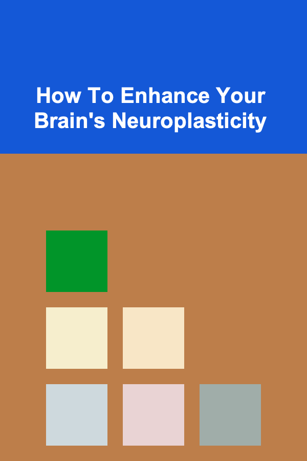 How To Enhance Your Brain's Neuroplasticity