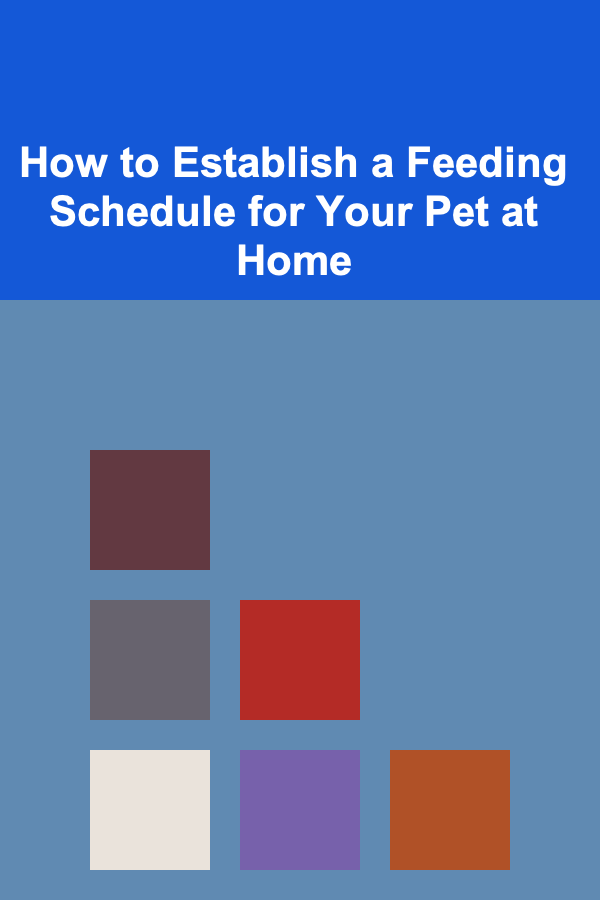 How to Establish a Feeding Schedule for Your Pet at Home