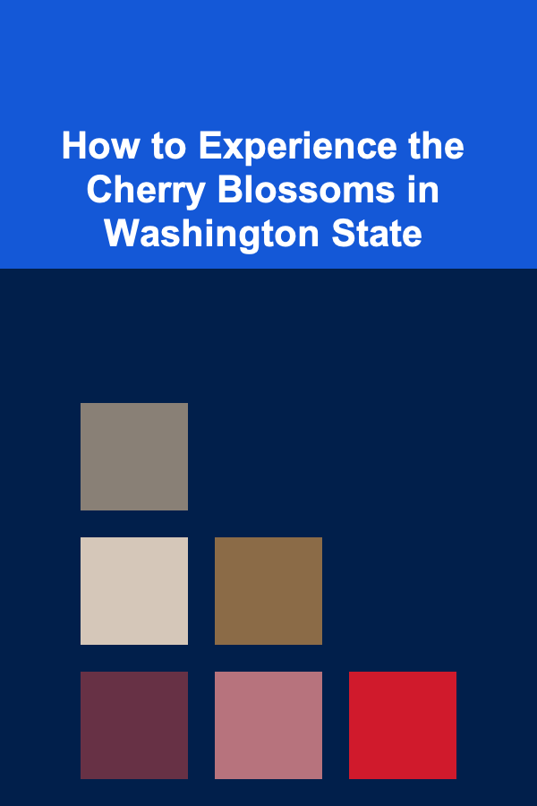 How to Experience the Cherry Blossoms in Washington State