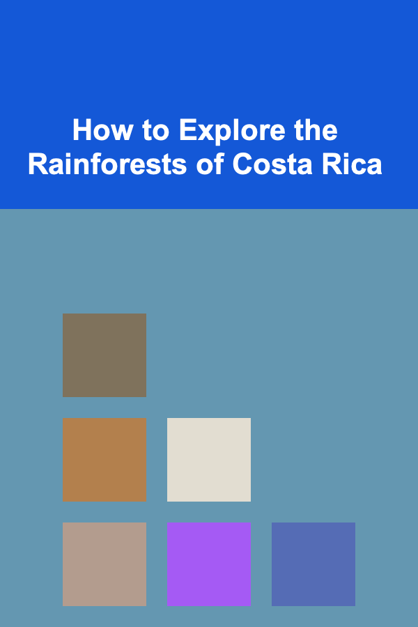 How to Explore the Rainforests of Costa Rica