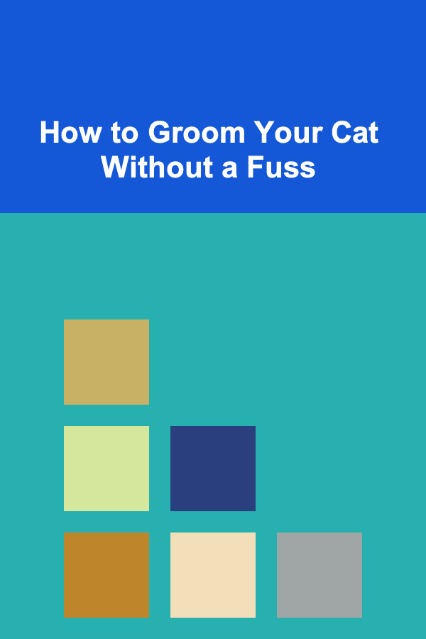 How to Groom Your Cat Without a Fuss