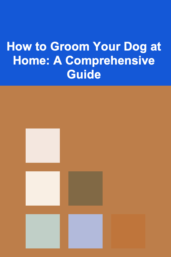 How to Groom Your Dog at Home: A Comprehensive Guide