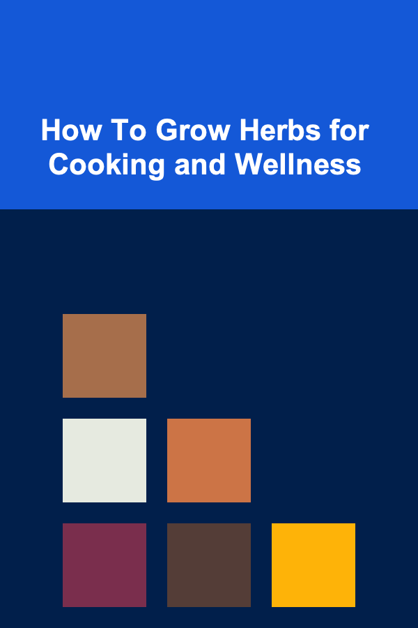 How To Grow Herbs for Cooking and Wellness