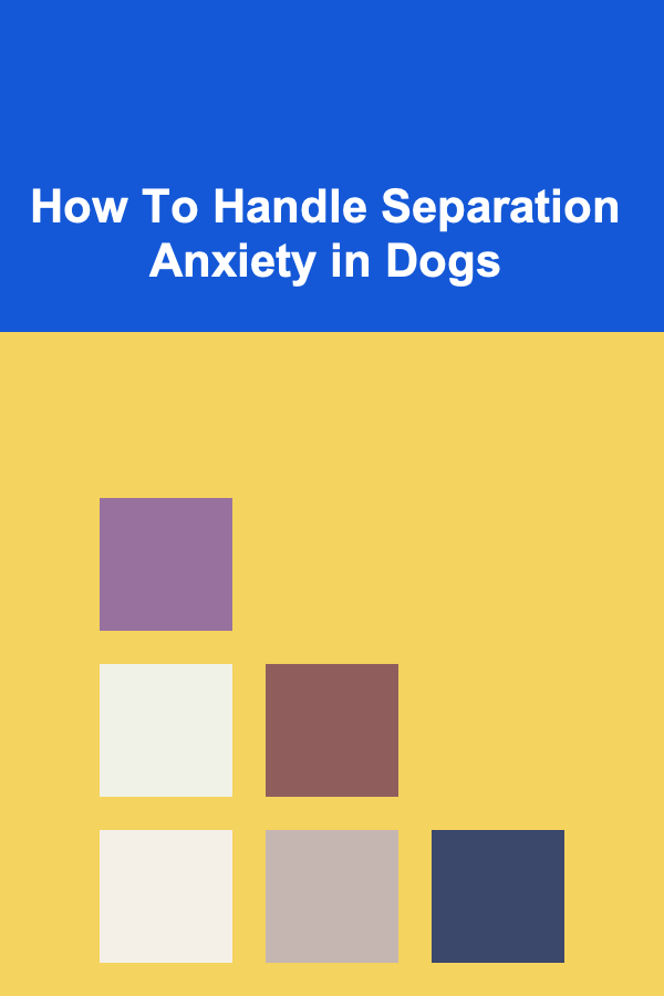 How To Handle Separation Anxiety in Dogs