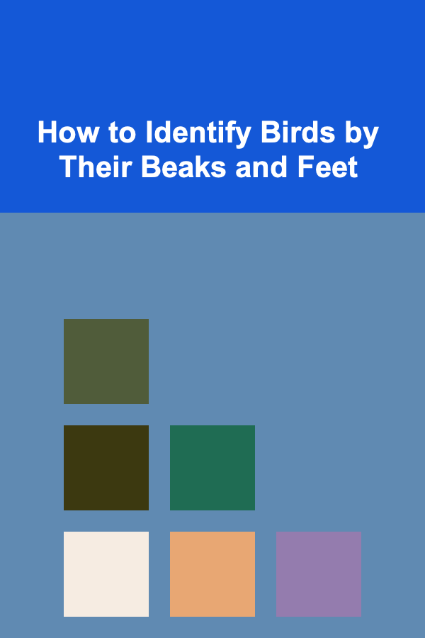 How to Identify Birds by Their Beaks and Feet