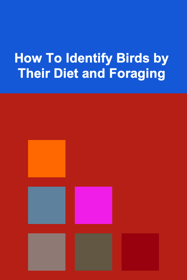 How To Identify Birds by Their Diet and Foraging
