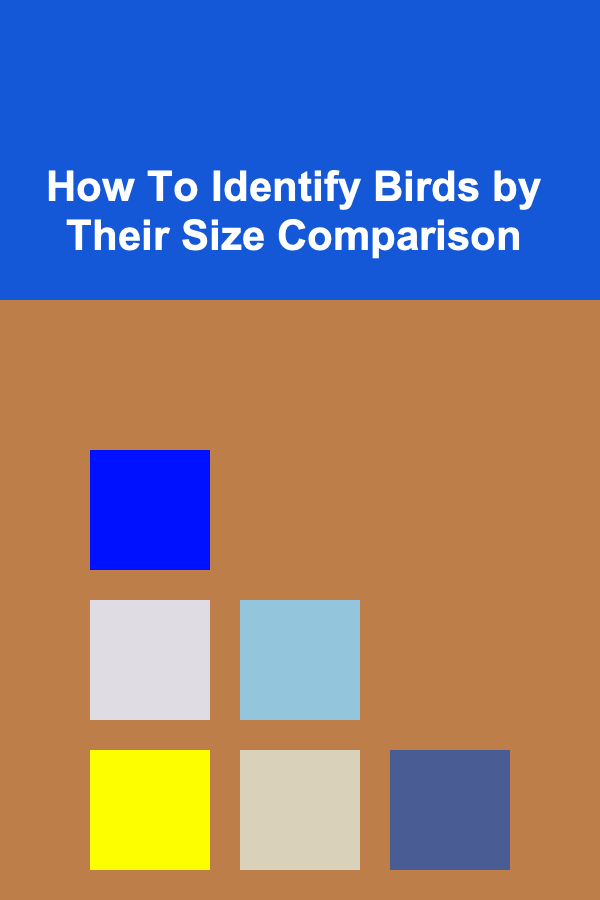 How To Identify Birds by Their Size Comparison