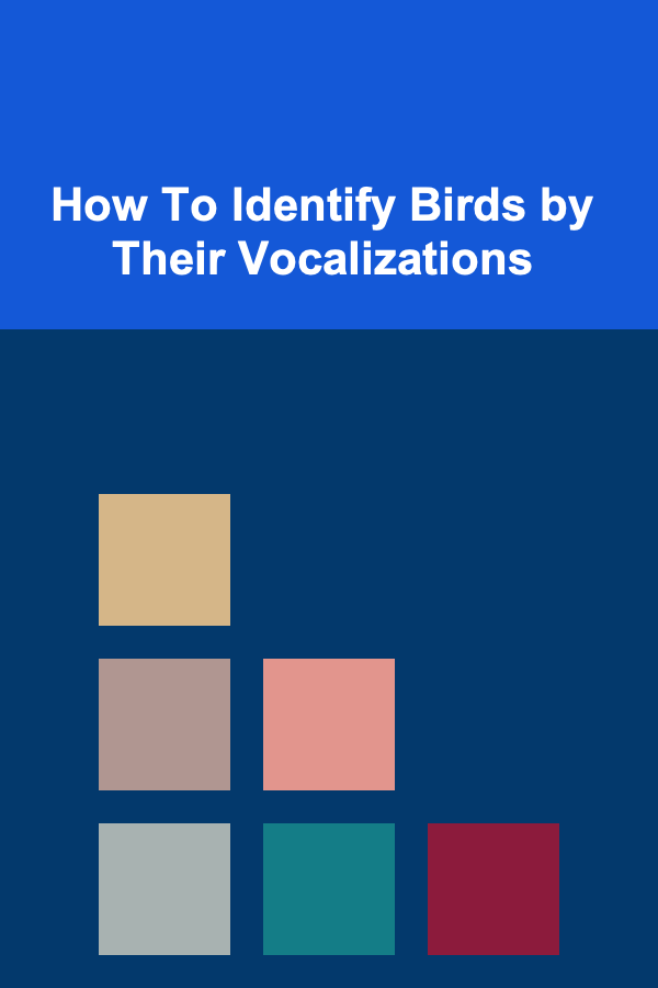 How To Identify Birds by Their Vocalizations