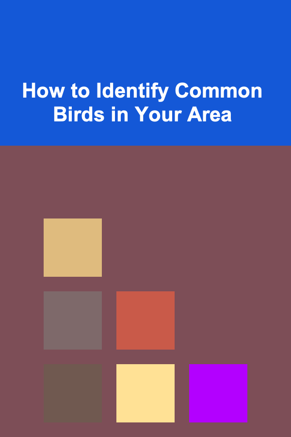 How to Identify Common Birds in Your Area