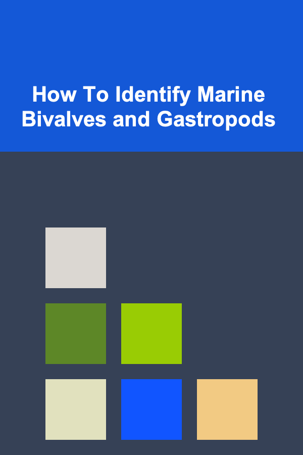 How To Identify Marine Bivalves and Gastropods