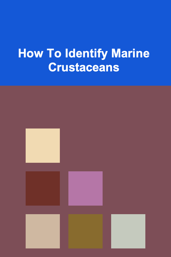 How To Identify Marine Crustaceans