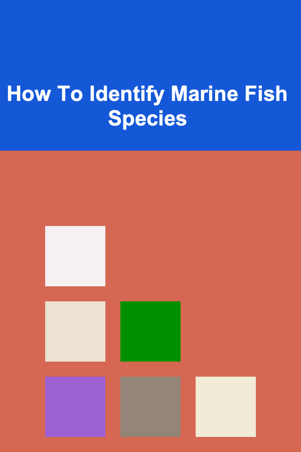How To Identify Marine Fish Species