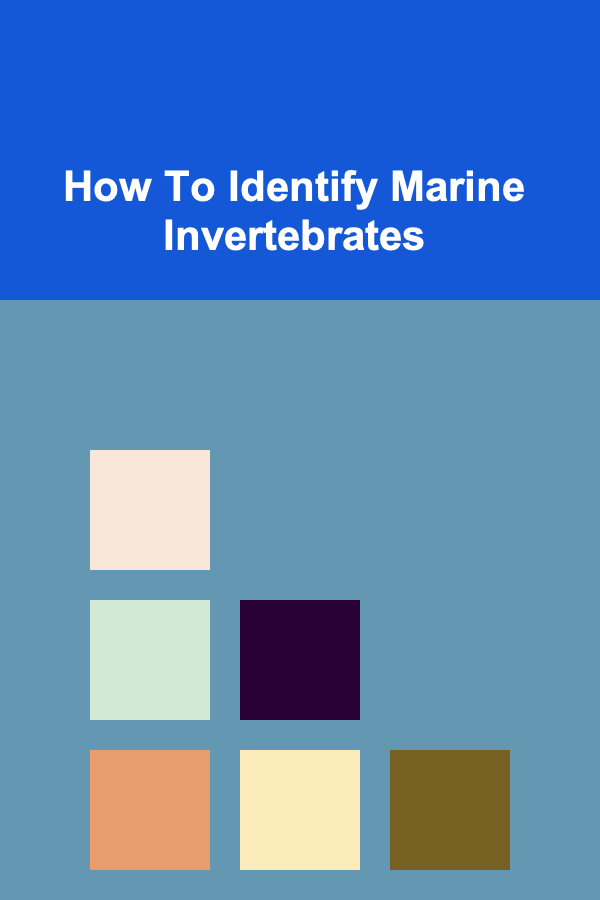 How To Identify Marine Invertebrates