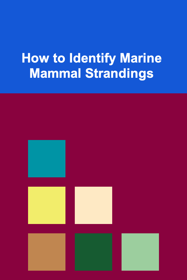 How to Identify Marine Mammal Strandings