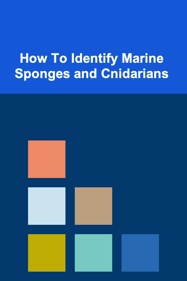 How To Identify Marine Sponges and Cnidarians