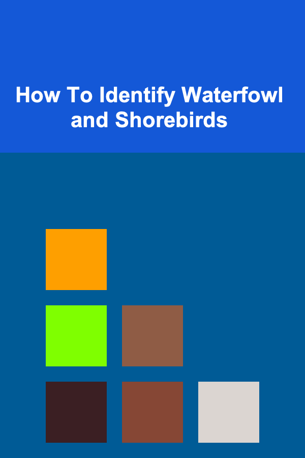 How To Identify Waterfowl and Shorebirds