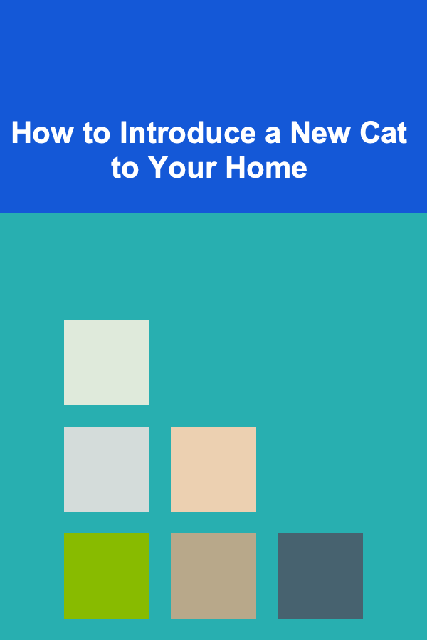 How to Introduce a New Cat to Your Home